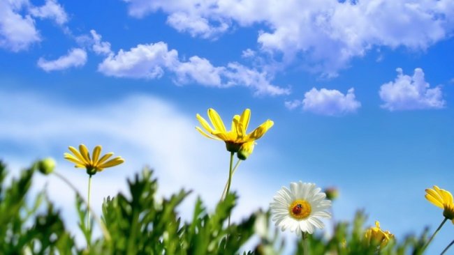 أجواء معتدلة نهارا ورطبة ليلا
