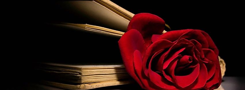 قصيدة حياة لـ انتصار عابد بكري