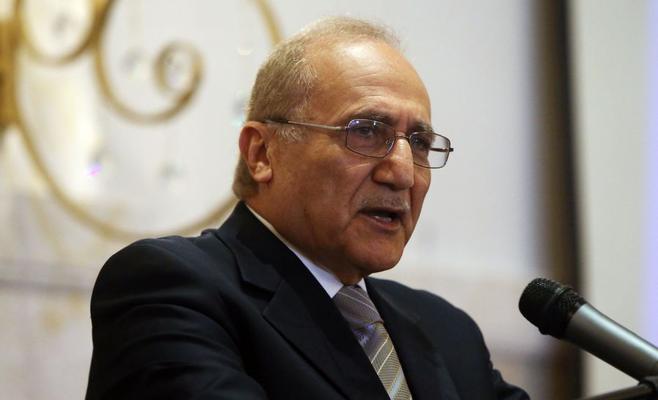 العناني: الربيع العربي أثر على اقتصادنا