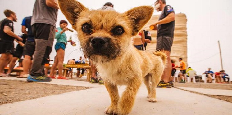 رجل يجوب نصف العالم بحثا عن