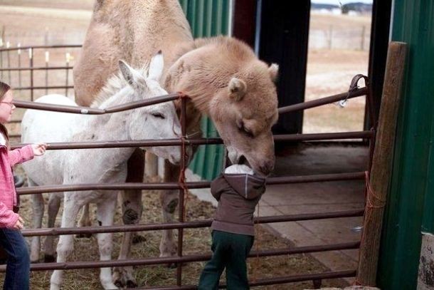 كوارث ستحدث بعد ثانية واحدة من