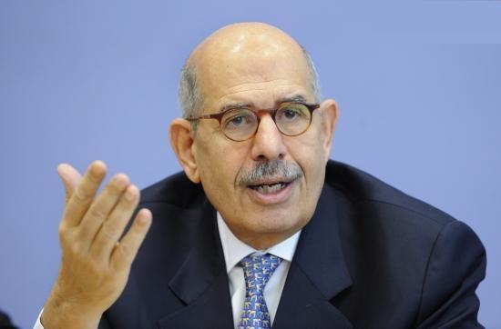 البرادعي : فضح الانتهاكات حق للجميع
