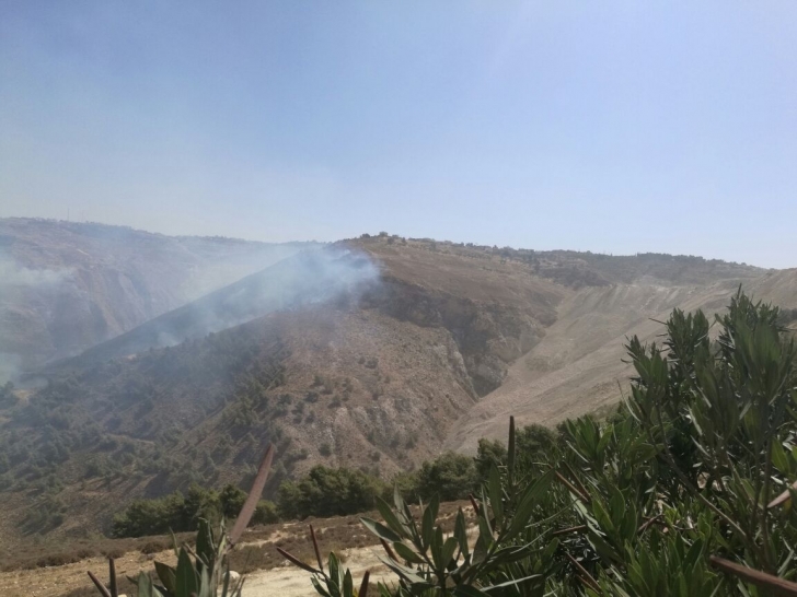 حريق يلتهم مساحات واسعة من غابات