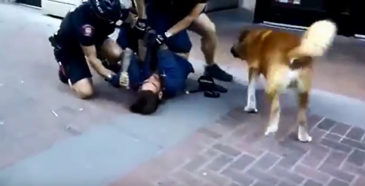 شاهد ماذا فعل هذا الكلب بعد