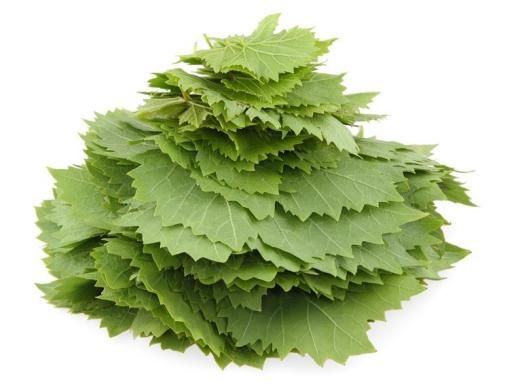كيف تخزنين ورق العنب؟