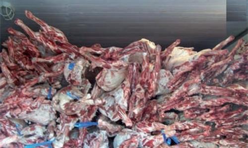 إربد.. إتلاف 5ر2 طن لحوم دواجن
