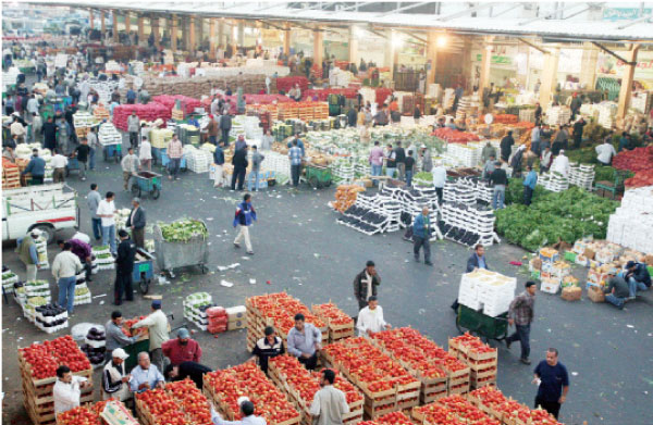 انهيار أسعار الخضار في سوق العارضة