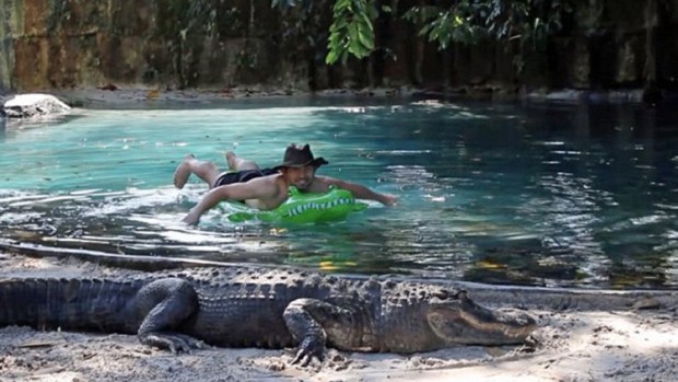 مغامر أمريكي يسبح وسط مجموعة من