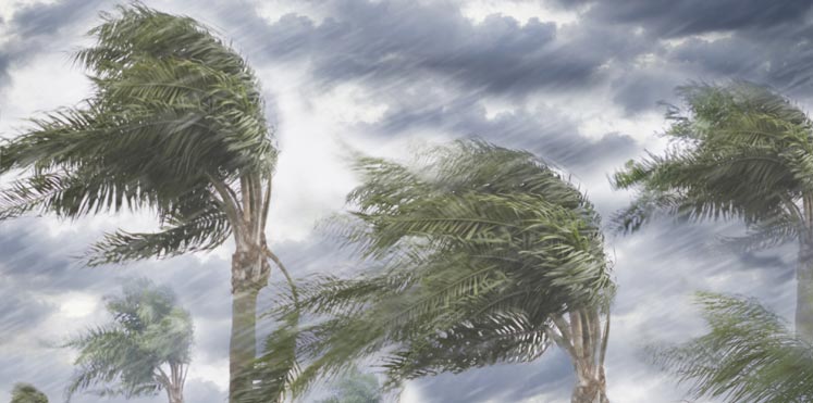 إعصار نادر يضرب الحديدة اليمنية