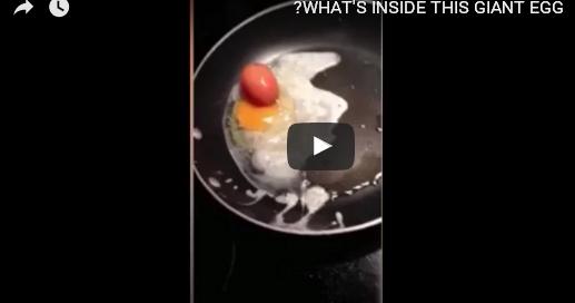 ماذا يوجد داخل هذه البيضة؟ فيديو