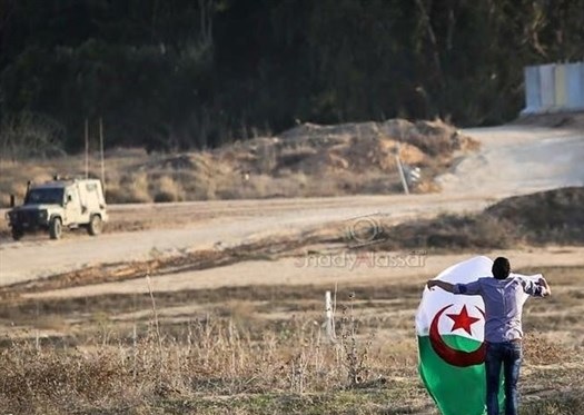 أربعة ألوان تتصدر المواجهات في غزة