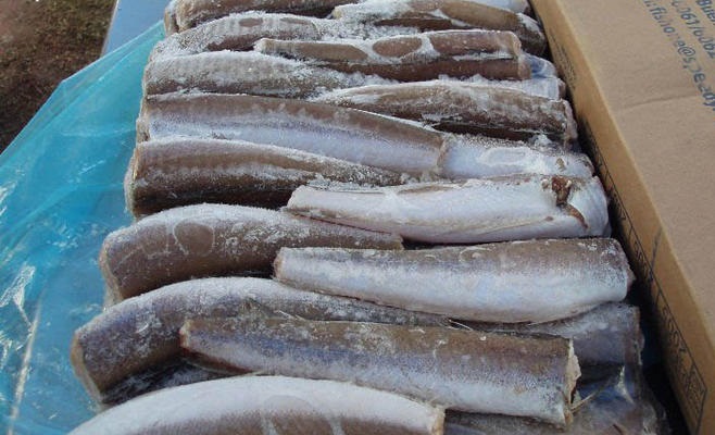 ضبط شاحنة أسماك فاسدة قبل وصولها