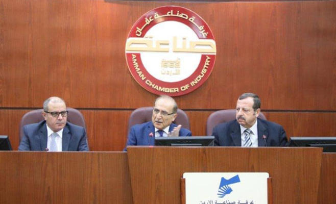 العناني: فرصة غير مسبوقة لرفع حجم