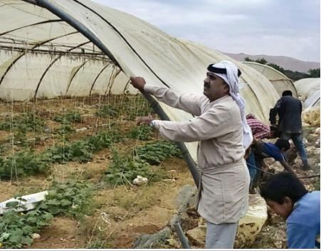 شدة رياح الاغوار الوسطى تتسبب بخسائر