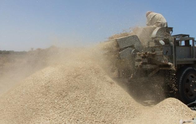 اتفاقية لشراء 400 ألف طن قمح