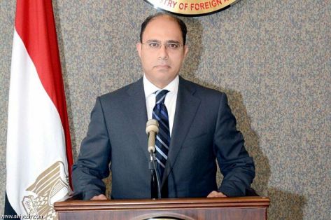 الخارجية المصرية: نرحب بأي جهد حقيقي