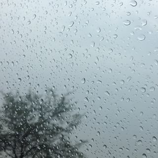 الشاعر راشد عيسى ينشد قصائد للفقراء