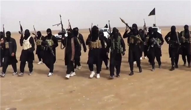 خبير اقتصادي: داعش على وشك الانهيار
