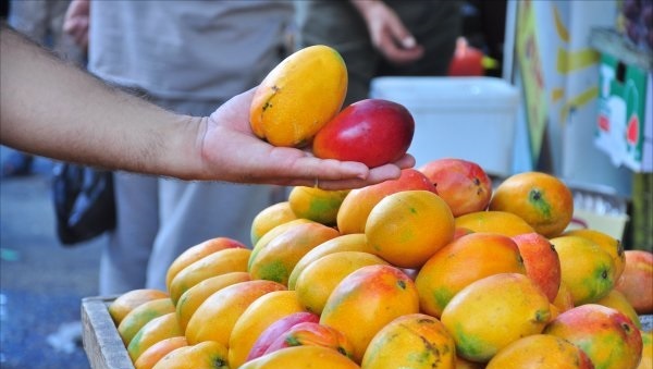 بعد قطيعة استمرت لعامين.. . مانجا