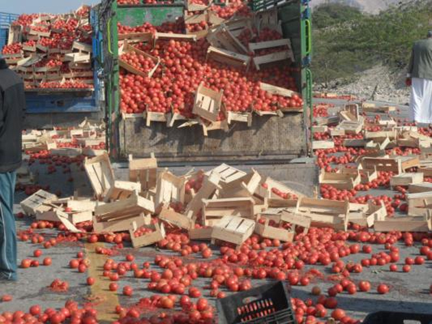البندورة في شوارع الأغوار الجنوبية احتجاجا
