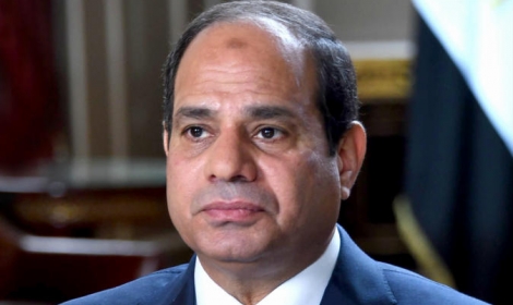 كاتبة أمريكية: سيرحل نظام السيسي