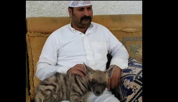 حول منزله لحديقة حيوانات