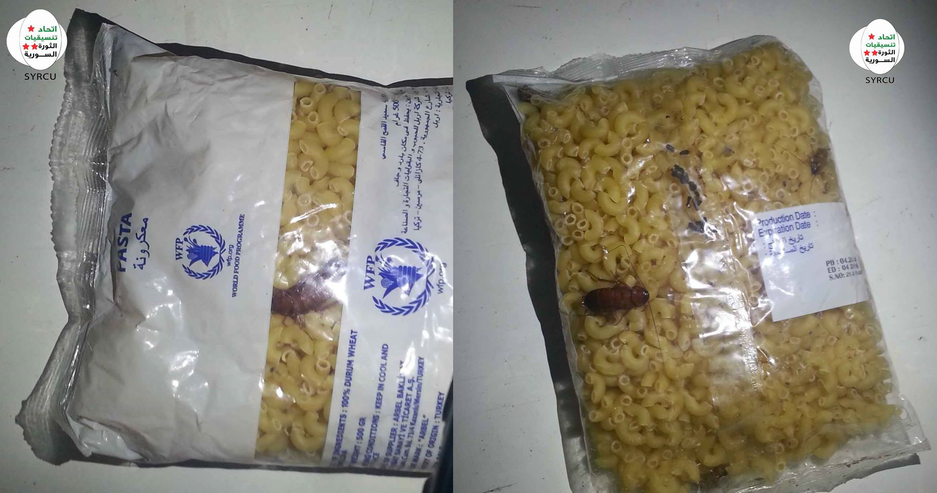 حشرات حية .. مع معونات دولية