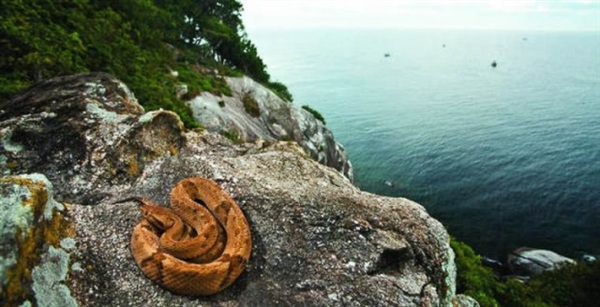 بالصور: 5 جزر ممنوعة على البشر