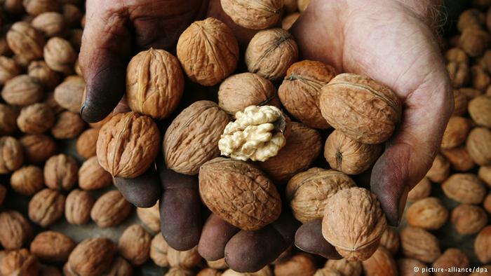 الجوز ـ وصفة سحرية للذكاء والجنس