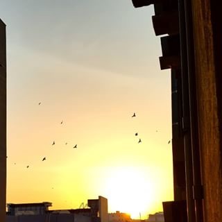 مات غريب الدار