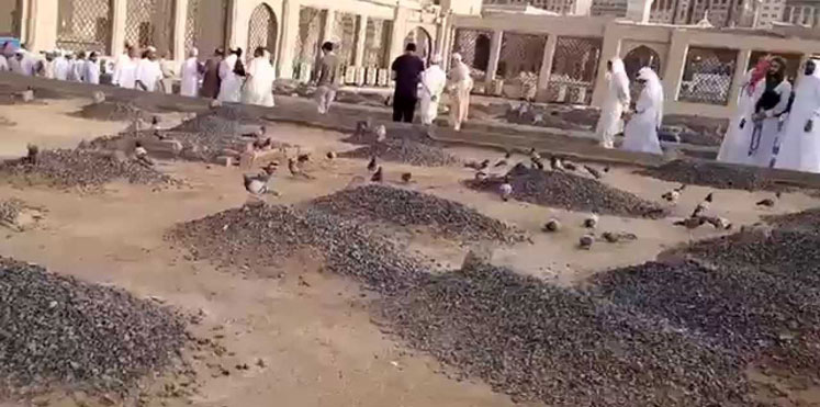 إلقاء القبض على نباش قبور في