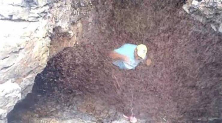 شاهد- لحظة تعرض رجل لهجوم من