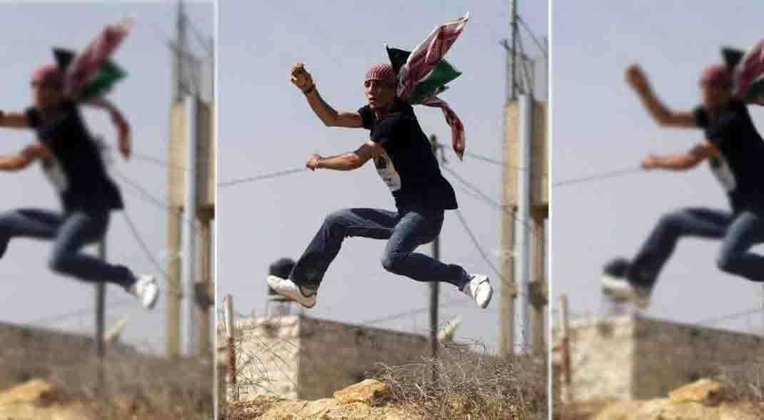 يا يوسف الفلسطيني