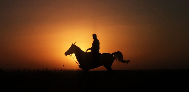 احنا بالـ 25 سنة الاخيرة مش