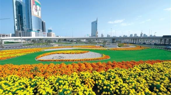 ألوان الزهور تحدد سرعتك على طرقات