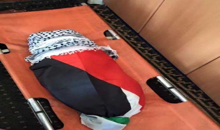 تقرير : قوات الاحتلال الإسرائيلي قتلت