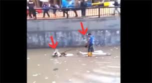 شاهد - حمار ينقذ صاحبه من