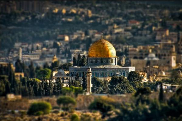 (شوفالقدس360) وتنقل داخل الأقصى.. فيديو