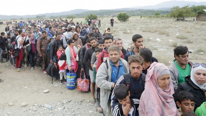 لاجئ سوري بألمانيا دخله أعلى من