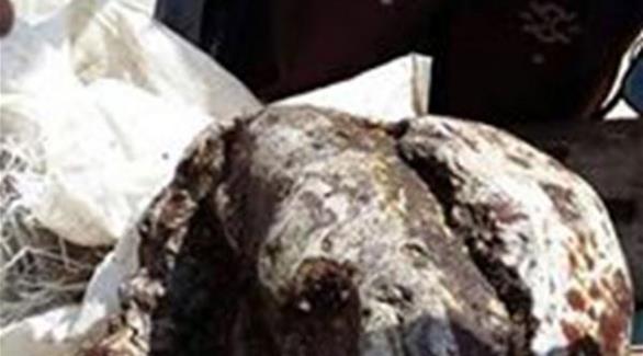 يمنيان خرجا للصيد فعادا بـ30 مليون