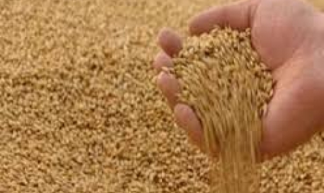 مصر ترضخ لضغوط فرنسا وتقبل استيراد