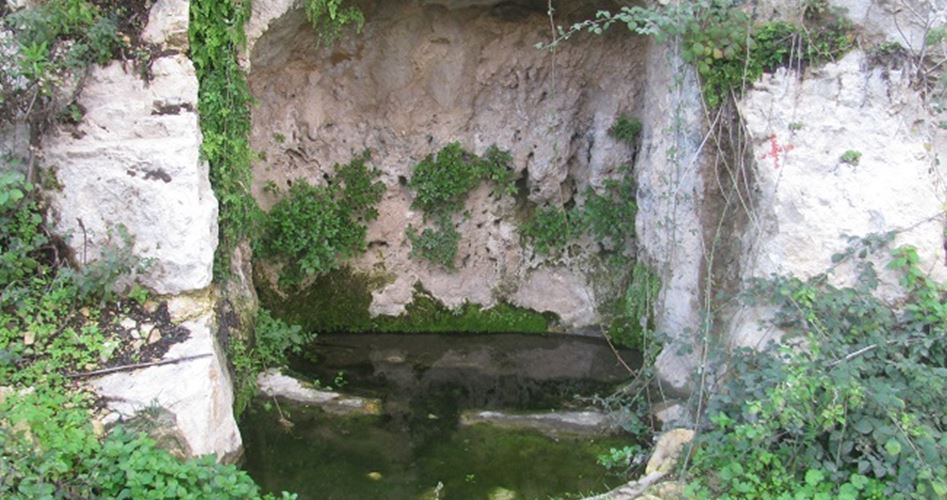 99 ينبوع ماء.. سلفيت (حاضنة الجمال)