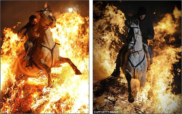 مهرجان تطهير الخيول بالنار في إسبانيا