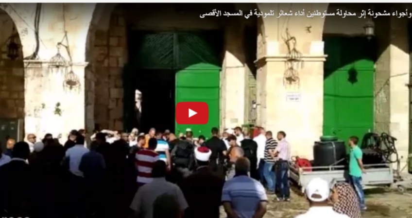 فيديو.. توتر يسود الأقصى بعد محاولة