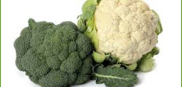 الكرنب.. توليفة مثالية من العناصر الغذائية