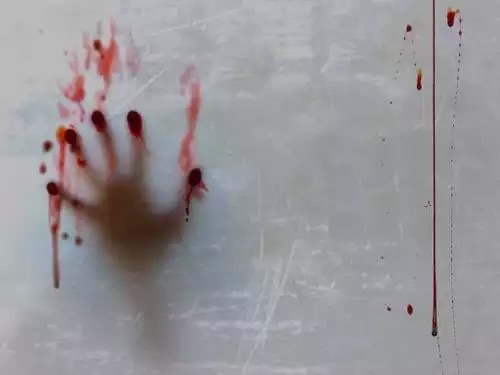 15 جريمة قتل وشروع به بذريعة