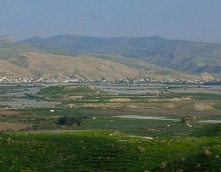 الغور الشمالي.. دعوة لتنظيف المزارع من