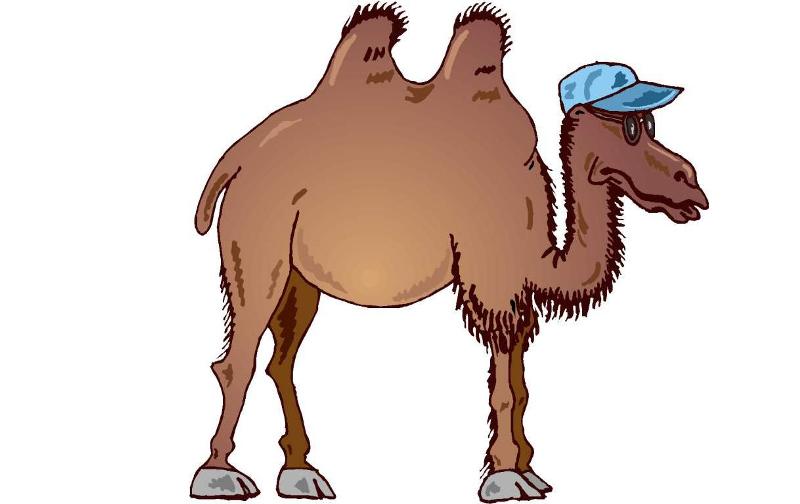 د. العلان: لولا العين لجاب 200