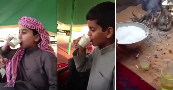 شاهد-مجموعة من الصبية يتناولون حليب الإبل
