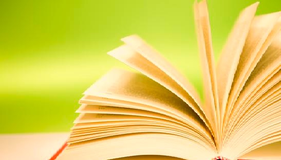 قراءة نقدية لرواية (سعدية) في المكتبة